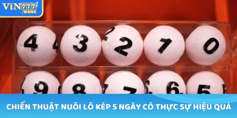 Chiến thuật nuôi lô kép 5 ngày có thực sự hiệu quả
