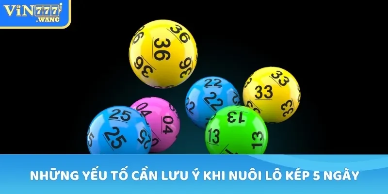 Những yếu tố cần lưu ý khi nuôi lô kép 5 ngày